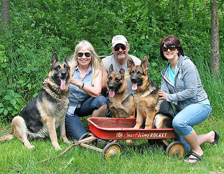 German Shepherds